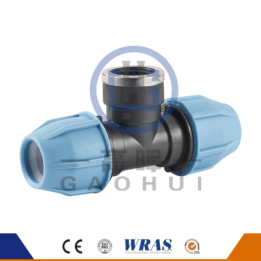 Pyöreän pään PP-naispuolinen tee P-025