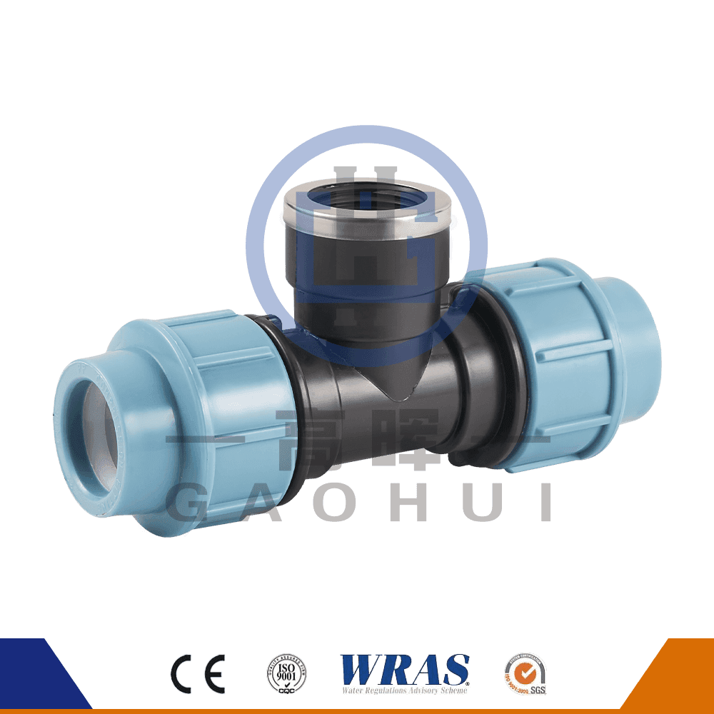 Italialainen versio PP naaraskierto tee P-037